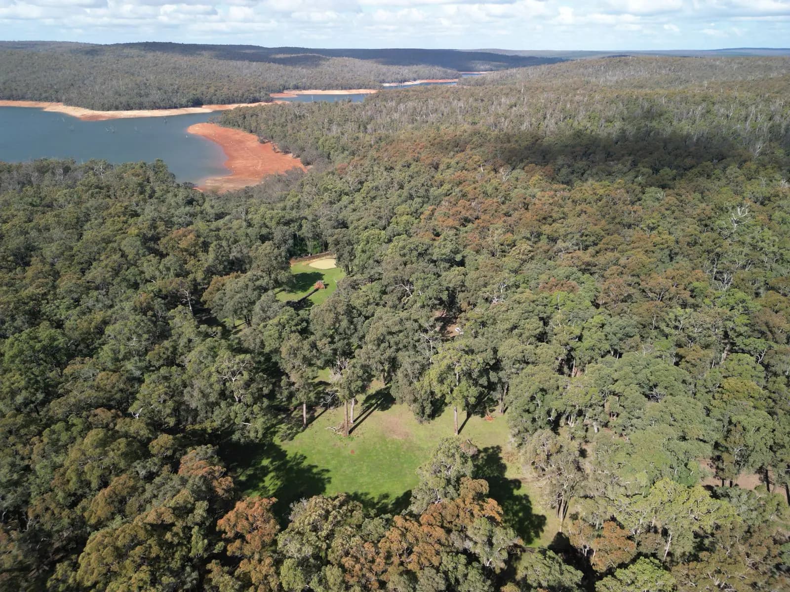 A forest clearing beside still reservoir water and terracotta shoreline